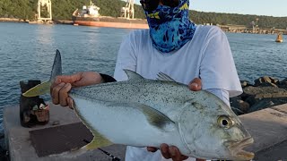 Saltwater Light Gear Fishing: Not for the Faint-Hearted!!!