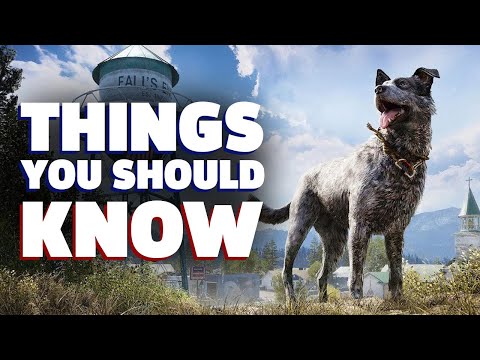 Things You Should Know Before Playing Far Cry 5