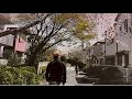 NSP 【新緑の頃、君に語りかける】