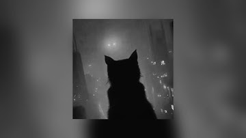 Тима Белорусских - Пару слов (сниппет)