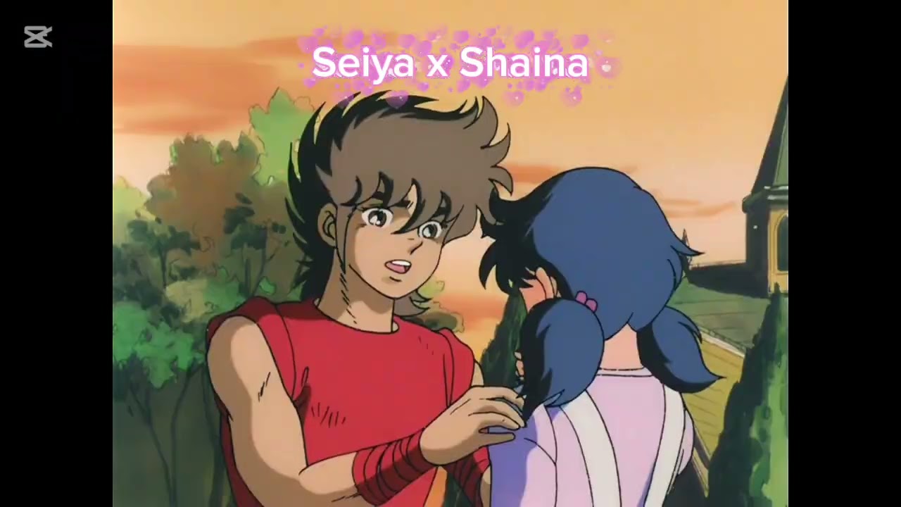 Ser o parecer _ IkkiPan_SeiyaShai_HyoFlear_ShunJune_AioMarin