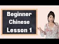 Learn Chinese | Structured Beginner Chinese Course Lesson 1 | Introduction of Chinese Pronunciation!