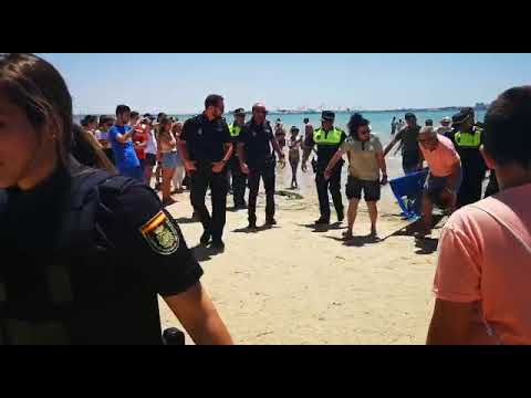 Una cría de delfín en La cachucha comparsas ana carolina
