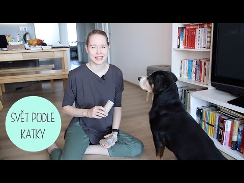 Video: Jak Zkoušet Svého Psa Doma