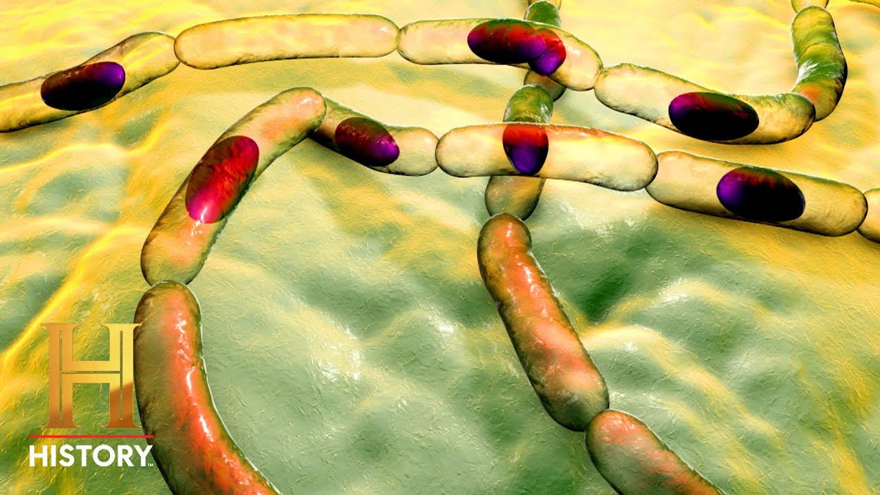 Documentary backdrop image for Biological Weapon Wipes Out Civilians (2024)