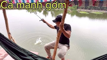 ✅ Đường tới hồ câu cá lure bán thiên nhiên giữa lòng Sài Gòn | DUY FISHING