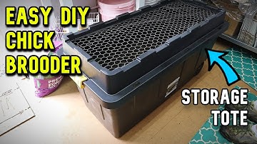 Easy DIY Chick Brooder YOU CAN BUILD!