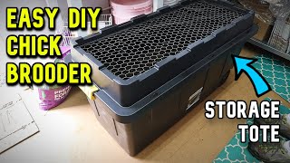 Easy DIY Chick Brooder YOU CAN BUILD!