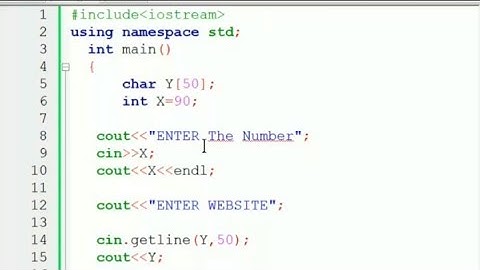 Ignore Function C++ Language In Hindi