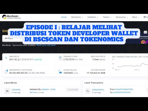 EPISODE I : Belajar Melihat Distribusi Token Developer Wallet di BSCscan dan Tokenomics