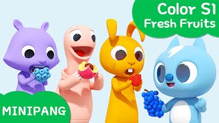 Learn colors with MINIPANG | Color S1 | 🍎Fresh Fruits | MINIPANG TV 3D Play