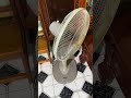 Quạt đứng có đèn senko dd868