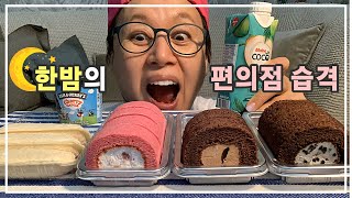 [브이로그] 한밤의🌙 편의점 습격
