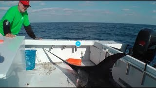 How to Catch Bigger Swordfish | Instructional Tactics | How To Fishing Videos | InTheSpread.com