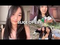 Slice of life  unboxing skincare collective haul organizing makeup new haircut hiking