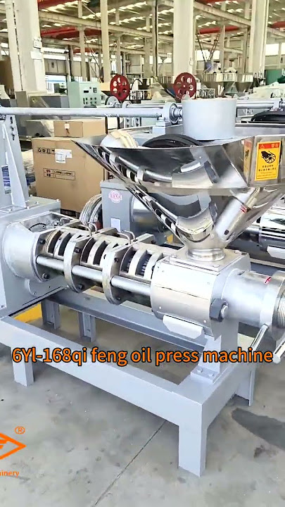 168机oil factory porject #machine #amazingmachinery #food #machinerychannel #factory #oilpressmachine