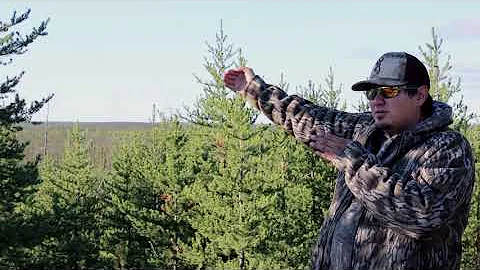 moose hunting tips !!