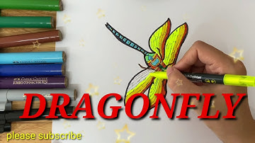 How to draw dragonfly/vẽ và tô màu con chuồn chuồn/Ndn art