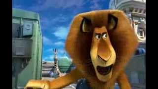 Cartoon Animal Story 3