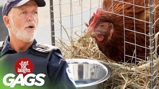 Super-Powered Chicken Takes A Stand Against The Cops