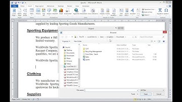 CAT 12 MS Word 2010 -08 Integration and Linking