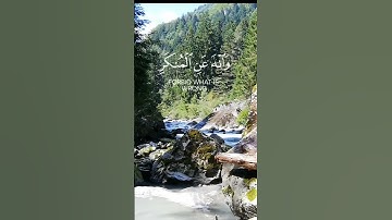 سورة لقمان (Luqmaan) الاية 17