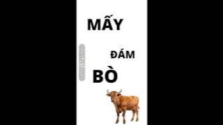 NHỮNG BẢN NHẠC PHONK BỊ..CHẾ BỞI CÁC THÁNH NHẠC VIỆT NAM|Dương Galaxy