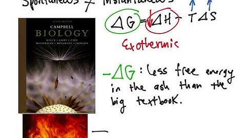 3B: Gibbs Free Energy