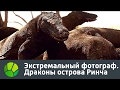 Экстремальный фотограф. Драконы острова Ринча | Живая Планета