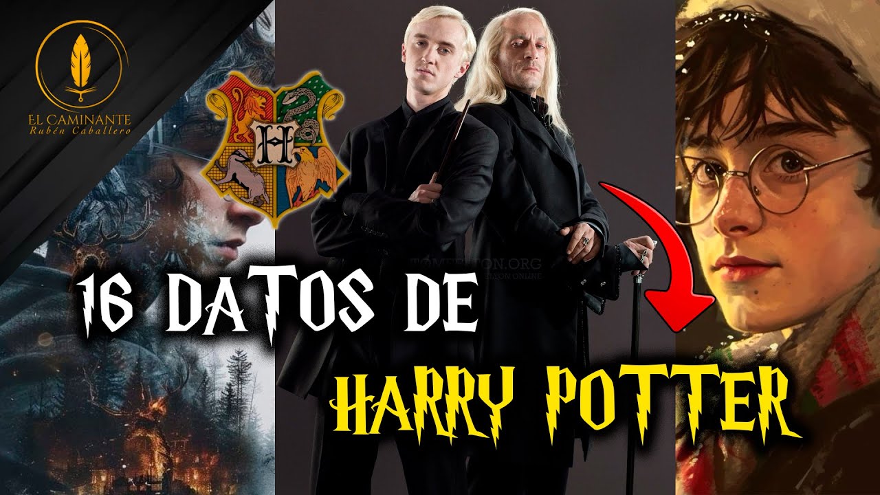 16 Datos de Harry Potter | Recopilación