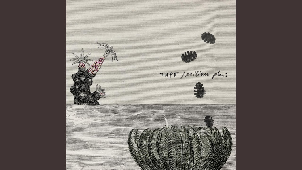 Watch Crippled Tree on YouTube Watch Crippled Tree on YouTube