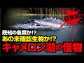 既知の魚類か!?あの未確認生物か!?キャメロン湖の怪物