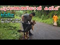 😵😵ദേഷ്യം കുറക്കാന്‍ : Dog socialization : Trying to attack people and vehicles on road : Day 2