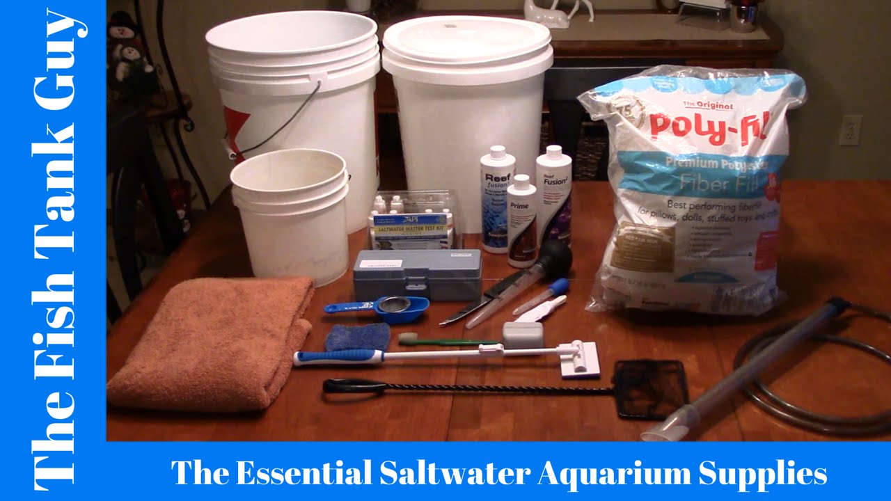 The Essential Saltwater Aquarium Supplies Youtube,Bittersweet Plant