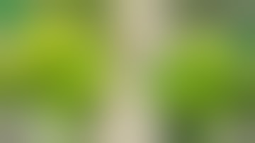 Vivosun DWC Hydroponic Bucket System Grow Series: Episode 2 - Vegetative Cycle