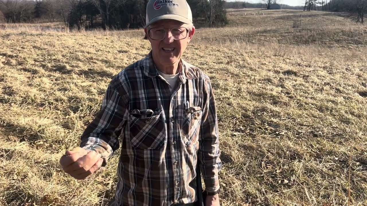 Грег и Джен борются с инвазивными кедровыми деревьями на пастбищах с помощью секаторов.