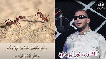 { وحشر لسليمان جنوده من الجن والإنس والطير فهم يوزعون } ايات من سورة النمل -القارىء نور ابو داود