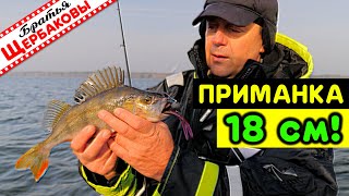 С Лодки В Отвес На Крупную 18 См Резину (Vertical Jigging). Поздняя Осень, Водохранилище