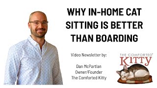 Why In-Home Cat Sitting is Better Than Boarding by The Comforted Kitty 1,424 views 2 years ago 16 minutes