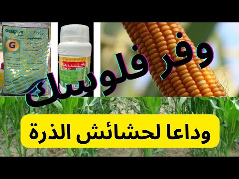 فيديو: ماذا تأكل الحشائش الأنظف؟