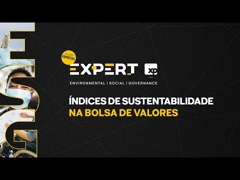 Vídeo: Índice De Sustentabilidade - Na Diversidade