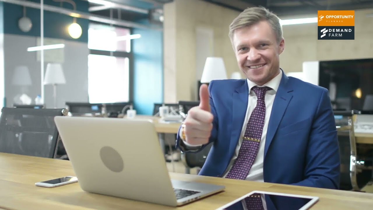 Opportunity Planner by DemandFarm - For Large Deal Management