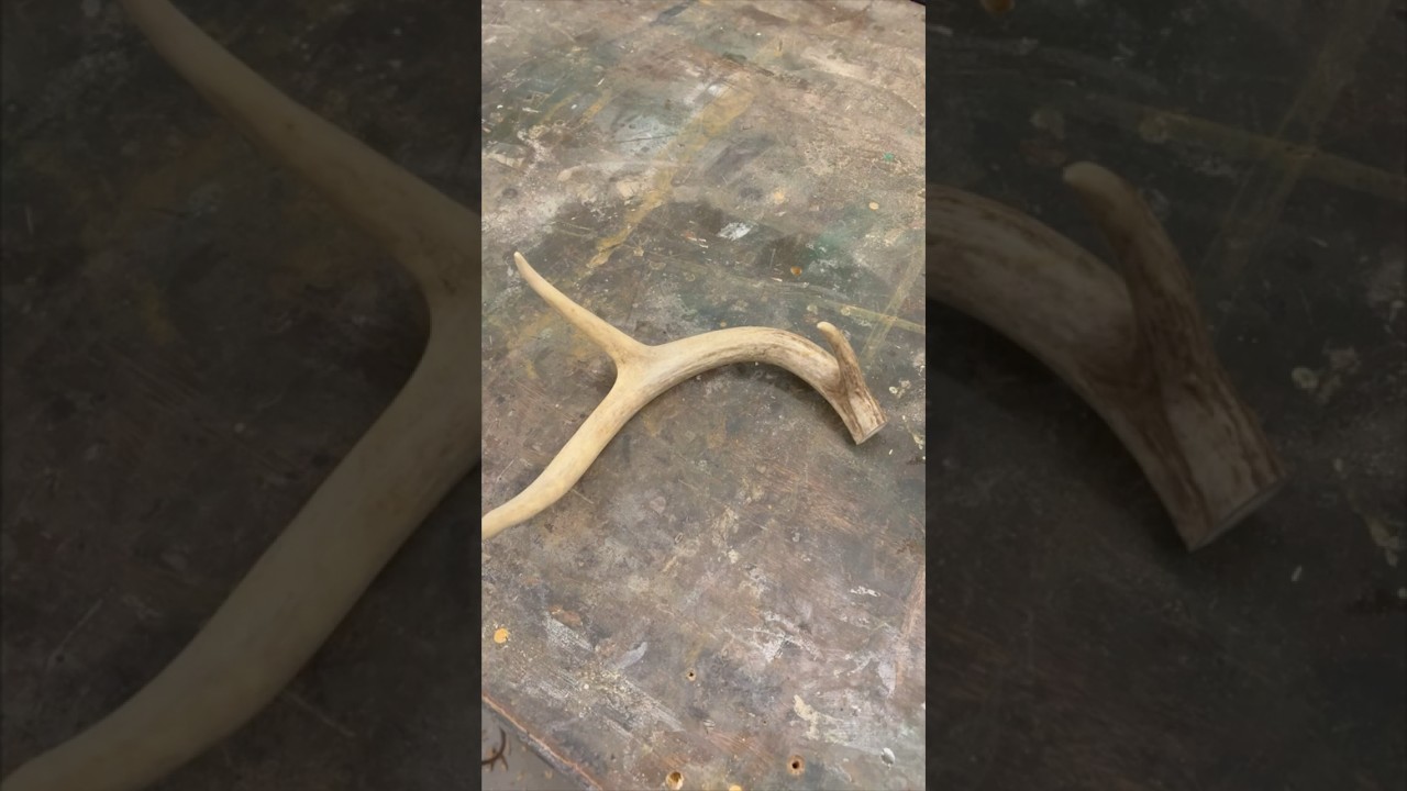 Как я сделал кольцо из оленьего рога