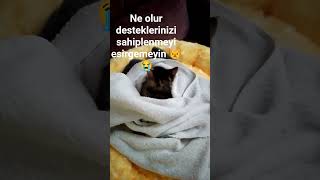 Sahip Olmak Isteyen Varsa Kimsesizler Tekrar Sokağa Gidecek Yazık Olacak