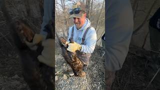 How to trap problem beaver