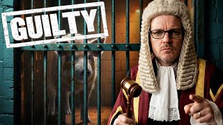 The Time Medieval Europe Put Pigs, Rats, And Roosters On Trial