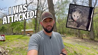 I POKED OPOSSUM!