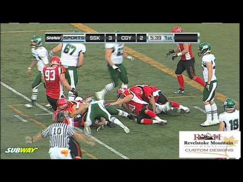 2012-13-dinos-year-in-review