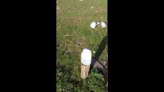 my buddy &quot;attempting&quot; to kill a milk jug