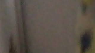 Kuş Ali Kuş Hahaha.